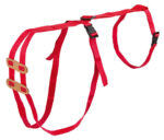 Zavoj za prolaps kod ovaca