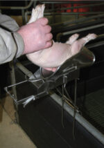 Uređaj za kastraciju prasadi - Slika 5