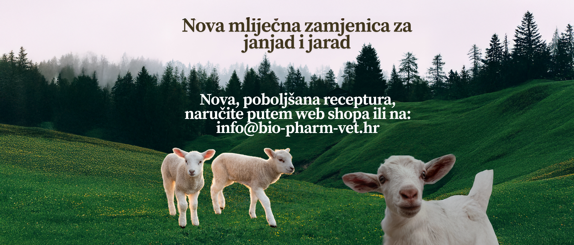 Nova mliječna zamjenica za janjad i jarad1 copy